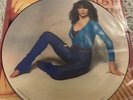 Kate Bush The Kick Inside Picture Disc Mint
