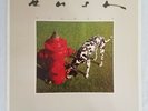 Rush-Signals Vinyl LP Record (SRM-1-4063) (1982)