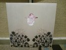 DEVENDRA BANHART - Smokey Rolls Down Thunder Canyon [vinyl] - 2 Vinyl