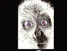 E. A. POE: Generazioni (Storia di sempre)  good progressive from Italy LP  Neu
