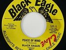 Black Eagles ft. Jah T 