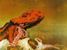Gentle Giant - Octopus LP Very Good / Excellent condition