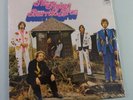 FLYING BURRITO BROS Gilded Palace Of Sin NEW Vinyl LP SEALED Gram Parsons BYRDS