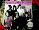 JEFFERSON AIRPLANE SURREALISTIC PILLOW SUNDAZED VINYL 180G MONO 2002 WHITERABBIT