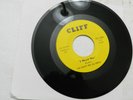 45 RPM, The Giant Red Jellybean, I Need Her, VG++, RARE 1967 INDIANA GARAGE BAND