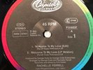 Rachelle Ferrell / Lulu - Welcome To My Love / In 12