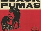 BLACK PUMAS - Black Pumas (Deluxe Edition) - Vinyl (2xLP)