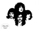 KINGS OF LEON-YOUTH & YOUNG MANHOOD (US IMPORT) VINYL LP NEW