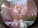 RUSH FLY BY NIGHT PICTURE DISC