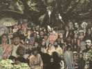 Devendra Banhart - Cripple Crow von Banhart, Devendra  (Schallplatte)