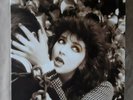 KATE BUSH REMASTERED IN VINYL 1 . 4 VINYL ALBUMS  BOX SET MINT CONDITION 2018