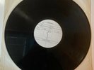 Very Rare Led Zeppelin Physical Graffiti 2 LP Vinyl Dutch Test Pressing