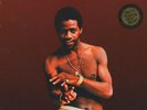 Al Green - Greatest Hits Limited Edition (Vinyl LP - 2009 - US - Reissue)