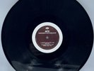 AFX Hangable Auto Bulb-original 12inch APHEX TWIN