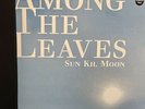 Sun Kil Moon - Among The Leaves 2 x Vinyl