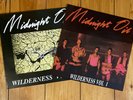 Midnight Oil Wilderness Rare Double Album New
