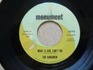 The Hangmen - What a Girl can't do - RARE GARAGE ROCK 7