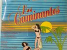 LOS CAMINANTES 