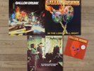 GALLON DRUNK ?– 2xLP + 1x7” + TERRY EDWARDS 1xLP