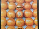 Orchestra Harlow – Hommy (A Latin Opera - Salsa, Rumba, Venezuela, 1973