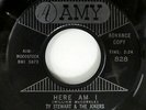 TY STEWART & the JOKERS 45 YOUNG GIRL b/w Here I Am AMY promo doowop VG++ #1989