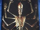 Tool Fear Inoculum Double LP Vinyl