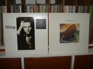 2 X STING / The Soul Cages - Nothing like the Sun / LP / Album / Jazz Rock Pop