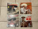 VICENTE FERNANDEZ LP LOT