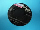 Veronica - Ronettes - Ronnie Spector - Why Don't They Let Us Fall In Love 45