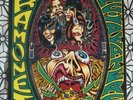 RAMONES Acid Eaters LP 1993 ORIGINAL NEAR MINT INSERT PUNK