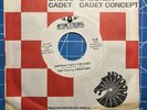 The Vibrating Vibrations RIGHT ON BROTHER 1970 promo 45 + company sleeve, EX