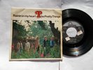 THE PRETTY THINGS 