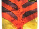 YEAH YEAH YEAHS – Show Your Bones    2006 1st US Issue LP SIS w/ hype   NM