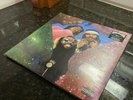 FLATBUSH ZOMBIES Vacation In Hell 2xLP on CLEAR SMOKE VINYL New SEALED w/bandana