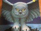 RUSH - FLY BY NIGHT VINYL LP ALBUM