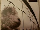 PEARL JAM - VS. VINYL EDITION (REMASTERED) NEW VINYL RECORD. SEALED