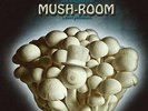 RESIDENTS-Mush-Room (UK IMPORT) VINYL NEW