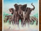 Elvis Costello And The Attractions - Armed Forces Vinyl LP UK 1979 W/ Postcards