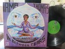 RARE IRMA THOMAS IN BETWEEN TEARS FUNGUS LABEL SOUL R&B LP ALLMAN 1973 PRESS