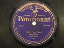 BLUES CHARLIE JACKSON Salty Dog Blues / Salt Lake City Blues PARAMOUNT 12236