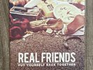 Real Friends PUT YOURSELF BACK TOGETHER Color Vinyl LP EXCELLENT