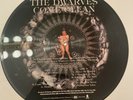 THE DWARVES COME CLEAN PICTURE DISC LT . ED. NO. 0055
