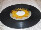 The Rock-Afire Explosion Birthday/Heartaches  7” Vinyl 45 RPM Showbiz Pizza VG+