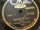 SOUTHERN HAWAIIANS Okeh 44395 Hawaiian Lap Steel Guitar 78 RPM Country Hillbilly