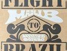 Madlib -- Medicine Show Vol. 2 Flight To Brazil (2xLP) In Hand And Shipping Now