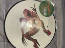 Lady Gaga Chromatica Limited Edition Picture Disc Only Played Once
