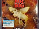 Mr. BIG Paul GILBERT What If JAPAN 2 180G Vinyl LPs + CD 2,000 w/POSTER BONUS Tr