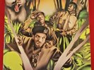 Jungle Brothers Straight out the Jungle 1988 LP Vinyl