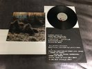 R.E.M. Murmur LP  SP70014 Vinyl IRS Records REM