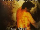 Bruce Springsteen - The Ghost Of Tom Joad  [LP Vinyl Vinile]